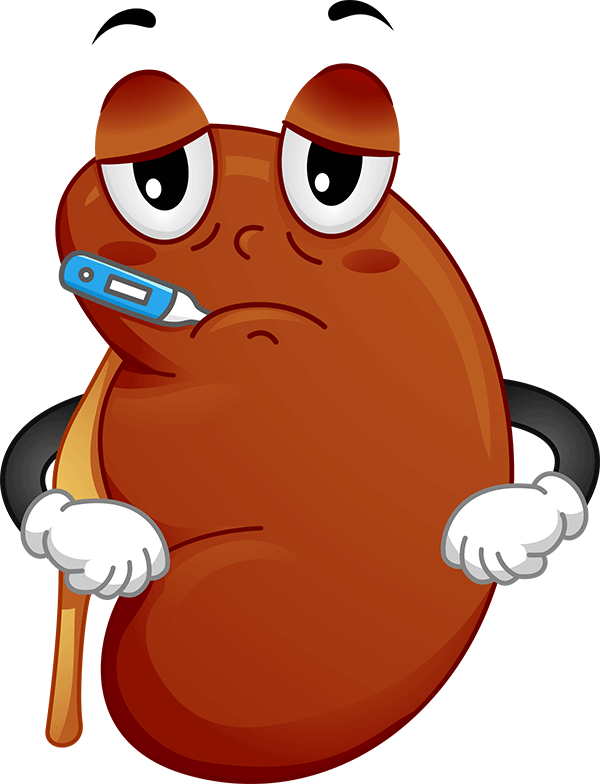 funny kidney clipart - photo #2