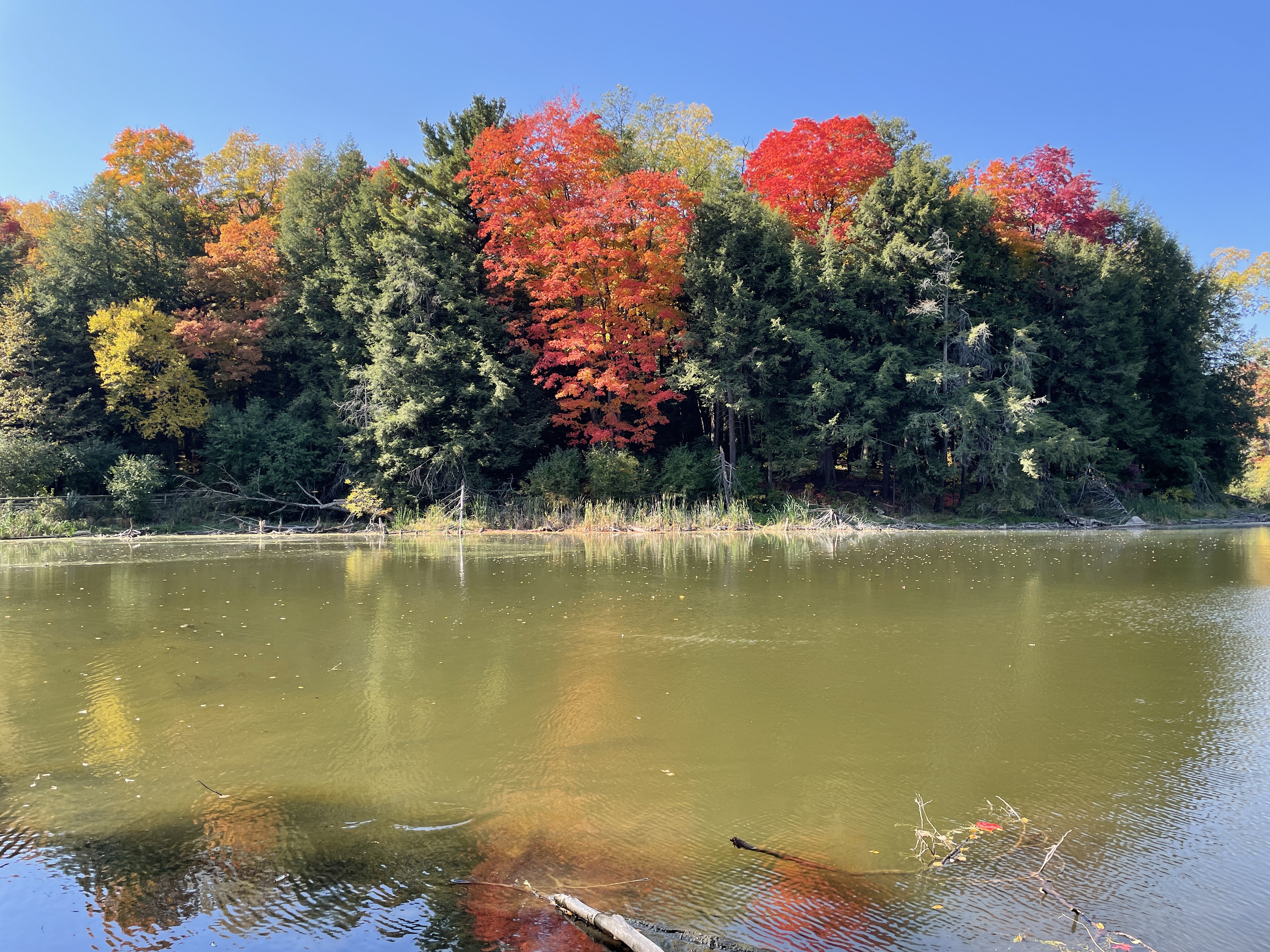 Grand River watershed in autumn
